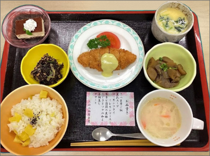 Elderly Meal 1