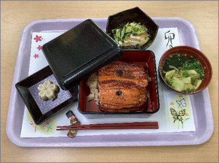 Elderly Meal 4